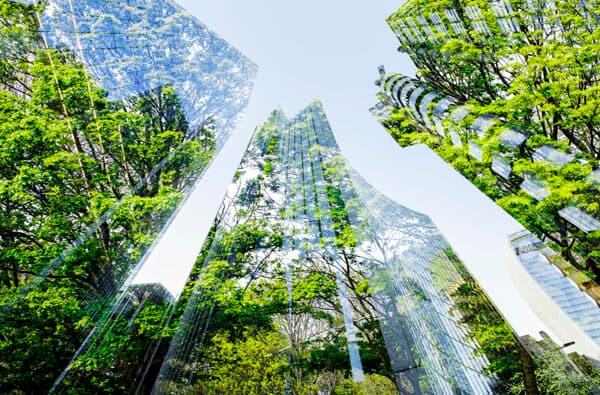Abstract of city skyscrapers and trees